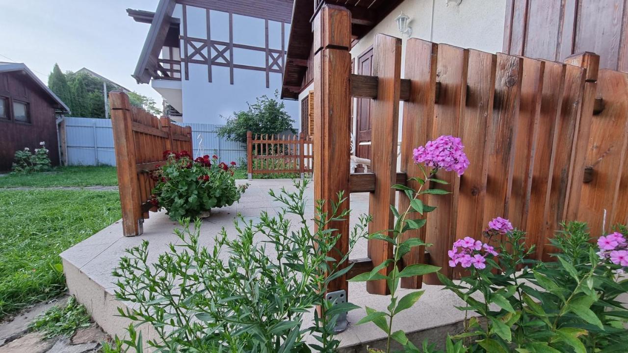 Vila Panselutelor 6 Синая Экстерьер фото